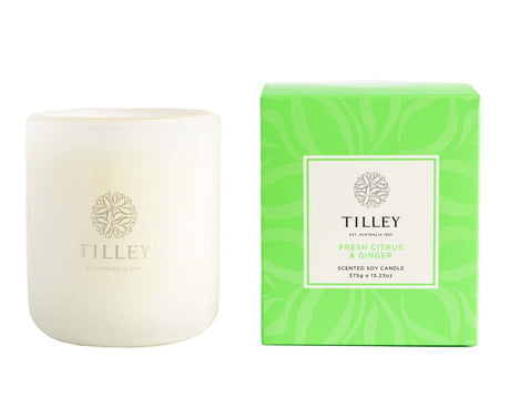 Tilley - Rainbow Candle - 375g-Streamline Sports