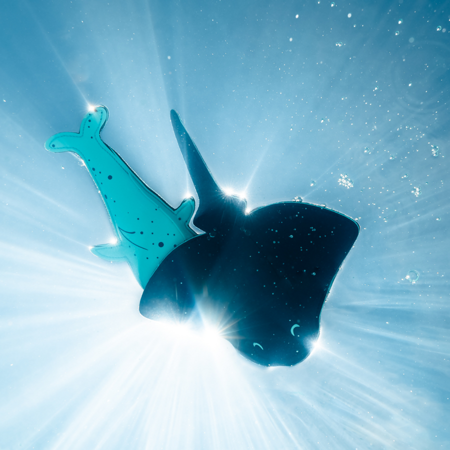 Splash About - Whale & Ray Snippets