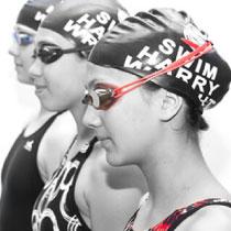 Harry Wright Swim Team