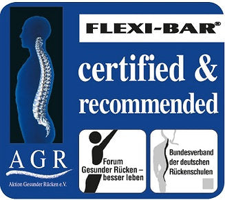 Flexi-Bar - [德國製造] Active Swinging – Reactive Core Training