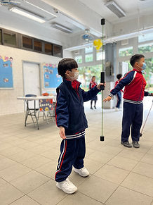 Flexi-Bar - [德國製造] Active Swinging – Reactive Core Training