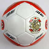 HKCC Soccer Size 5
