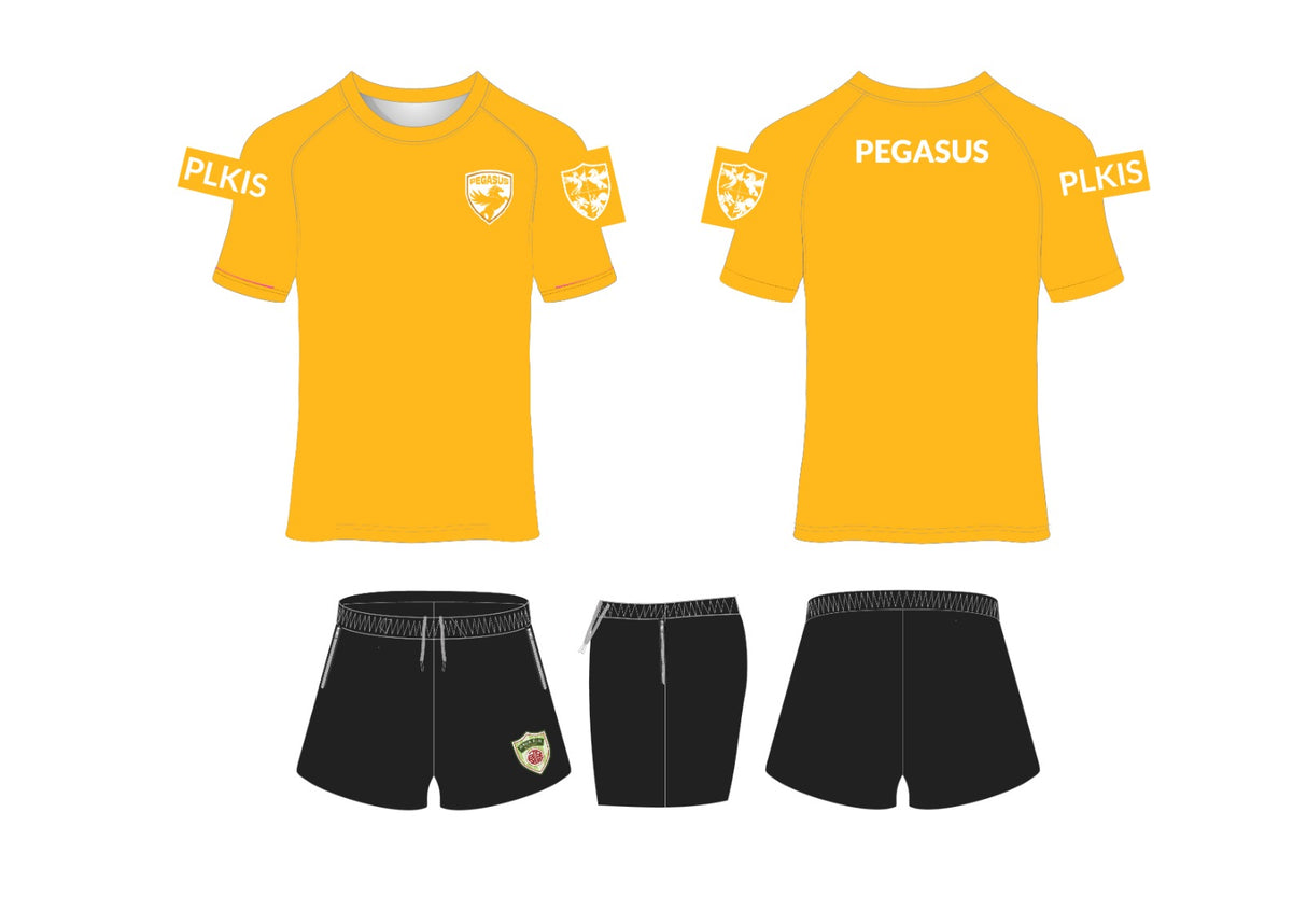 HKCA Po Leung Kuk School House Kit