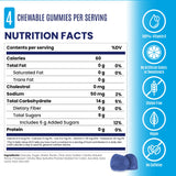 SaltStick Energy Gummies – Sour Blue Razz