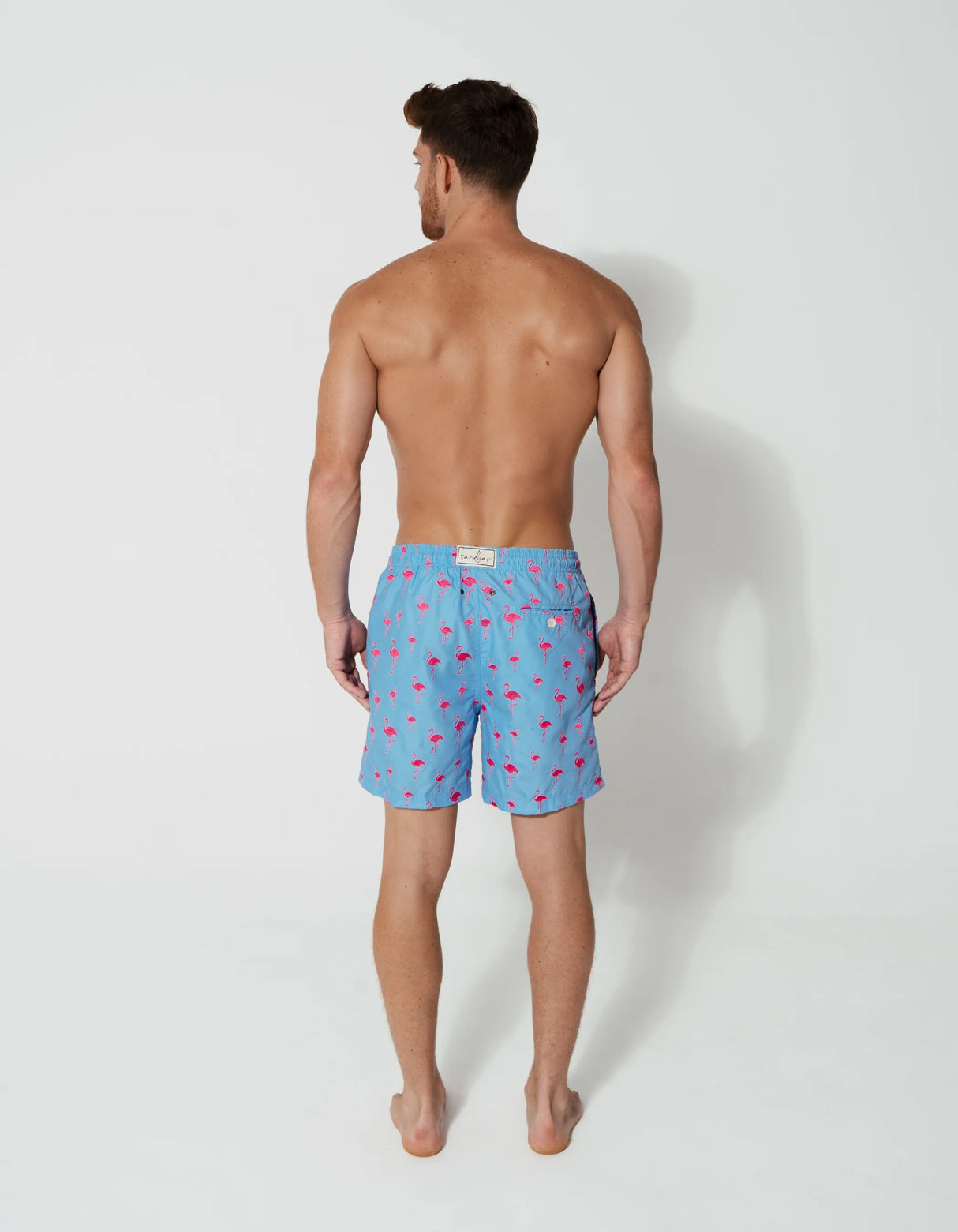 Sandbar - Mens Swim Shorts